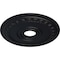 Ekena Millwork Munich Ceiling Medallion (Fits Canopies up to 5 5/8"), 17 1/2"OD x 3 5/8"ID x 1"P, Steel Gray CM17MUSGS - alternate 2